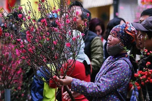 Dự kiến trình phương án nghỉ Tết từ 29-12 âm lịch