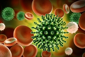 Bộ Y tế thông tin về biến thể phụ JN.1 liên quan đến ca mắc tại TP.HCM