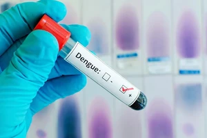 Việt Nam lần đầu cấp phép sử dụng vaccine sốt xuất huyết