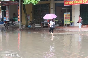 Hải Dương phát lệnh báo động III trên sông Thái Bình