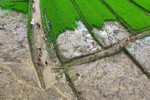 Tiếp tục tìm kiếm nạn nhân mất tích ở thôn Làng Nủ thêm 5 ngày