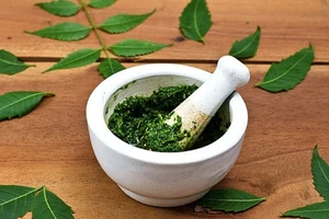 Vỡ loét, hoại tử vú do đắp thuốc nam điều trị ung thư vú