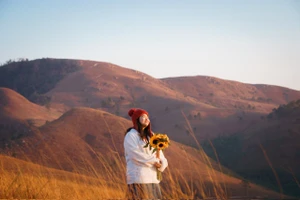 Đỉnh Phượng Hoàng rực rỡ trong mùa cỏ cháy