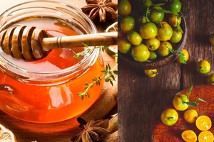 Có nên dùng quất ngâm mật ong cho trẻ em?