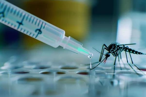 Bộ trưởng Bộ Y tế trả lời về việc đưa vaccine sốt xuất huyết vào tiêm chủng mở rộng