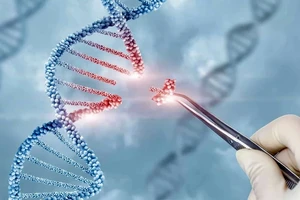 Vợ chồng bình thường, con sinh ra có thể mắc bệnh di truyền không?