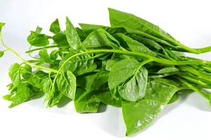 Rau mồng tơi tốt nhưng không phải ai cũng nên ăn