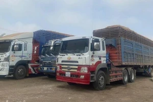 Nóng: Bộ Y tế trình Chính phủ tạm ngưng hiệu lực Nghị định 46