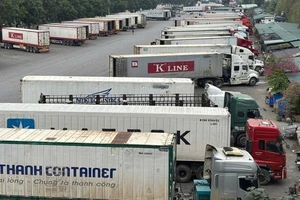 Chính thức ngưng hiệu lực Nghị định 46