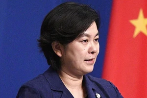 Bà Hoa Xuân Oánh. Ảnh: VCG