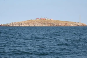 Nga, Ukraine thông tin khác nhau chuyện đảo Zmiinyi và số phận lính Kiev