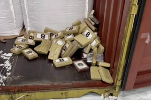 Video: Nga tịch thu hơn 1 tấn cocaine ngụy trang trong lô hàng cà phê