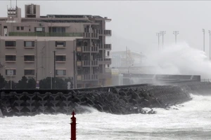 Động đất mạnh 7,1 độ richter ở Nhật, có cảnh báo sóng thần