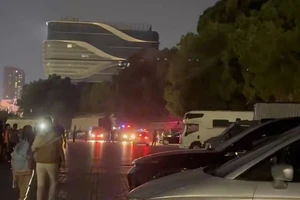 Vụ ‘xe điên’ tông chết 35 người ở Trung Quốc: Nghi phạm bị bắt sau khi tự tử bất thành