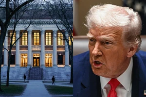 Harvard và loạt ĐH Mỹ giải bài toán tiền bạc thế nào khi chính phủ đóng băng tài trợ?