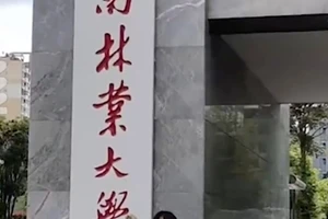 Con trai thi rớt, mẹ 50 tuổi ‘học lỏm’ sách của con rồi đỗ thạc sĩ