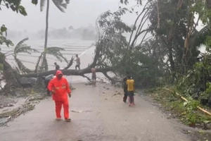 Philippines: Hơn 90 người thiệt mạng do bão số 13 Kalmaegi; Xuất hiện bão mới