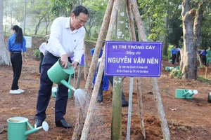 TP Thủ Đức sẽ trồng 1 triệu cây xanh