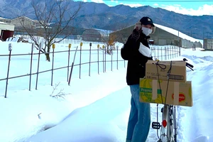 Gần 17.000 lao động đi Nhật làm việc trong 2 tháng đầu năm 2024