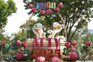 Hội hoa xuân Ất Tỵ 2025 tại TP.HCM trước ngày khai mạc có gì?