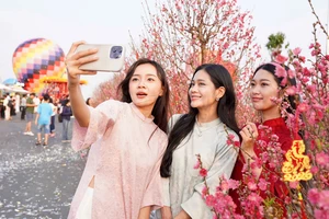 Du khách thích thú check-in cung đường hoa xuân rực rỡ tại Cần Giờ