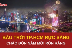 TP.HCM rực rỡ pháo hoa, người dân vỡ òa đón năm mới Bính Ngọ