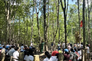 Nhiều điểm vui chơi hấp dẫn tại TP.HCM dịp Tết Dương lịch 2024