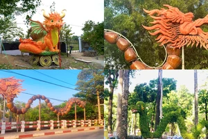 Cuộc đua linh vật rồng 2024 sẽ thuộc về tỉnh thành nào?