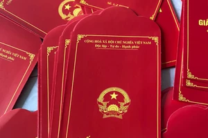 Sử dụng bao lì xì in hình quốc huy, sổ đỏ, tiền Việt Nam bị pháp luật nghiêm cấm