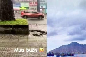 Cư dân mạng 'tạo trend' trời mưa giữa đợt nắng nóng gay gắt
