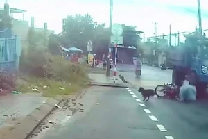 Chó thả rông làm 2 người té ngã ngay bánh xe ben