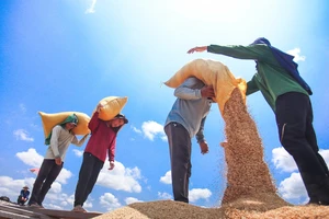 Người nông dân muốn mua BHYT có được hỗ trợ của Nhà nước không?