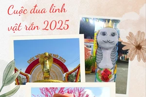 Cuộc đua linh vật rắn 2025: 'Bé Na' làm dậy sóng mạng xã hội