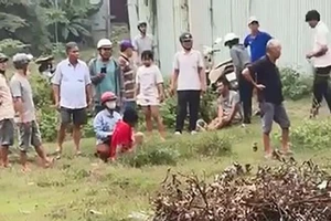 Vụ chọc trâu bị trâu húc ở Bình Chánh: Liệu có được bồi thường?