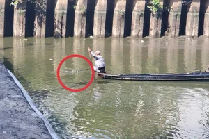 Chế tài nào cho hành vi chích điện bắt cá trên kênh Nhiêu Lộc - Thị Nghè?