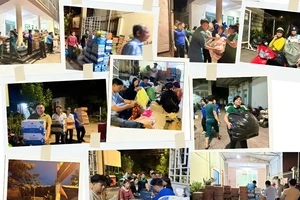 TP.HCM: Xuyên đêm gom quà cứu trợ miền Trung