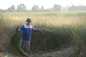 BHXH tự nguyện tăng hỗ trợ, chỗ dựa tuổi già vẫn xa với nông dân