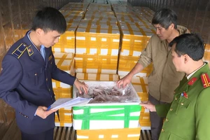 Vụ cá khoai tẩm formol: Có thể xử lý hình sự người vi phạm