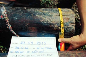 Bốn tên cướp trói cụ ông 90 tuổi để cướp gỗ tủ thờ 