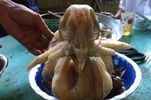 Khởi tố vụ bị đánh chết vì lấy gà luộc trên mâm cỗ