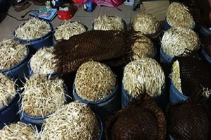 Phát hiện cơ sở dùng hóa chất ủ giá đỗ