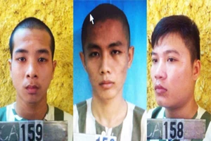 Bắt nhóm trộm đột nhập vào nhà phó chủ tịch huyện