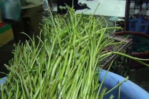 Phát hiện rau muống ngâm hóa chất bán cho nhà hàng