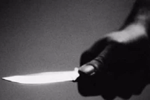 Giết vợ, bỏ trốn từ Đồng Nai ra Hà Nội đầu thú