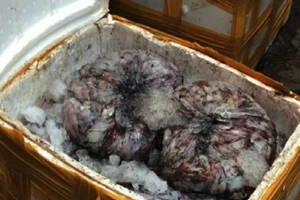 Bắt hơn 1 tấn cá, mực thối chuẩn bị vào TP.HCM tiêu thụ