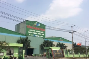 Nổ nhà máy thép Bình Dương, 8 công nhân bị bỏng