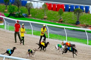 Một số hình ảnh trường đua ngàn tỉ ở Bình Dương