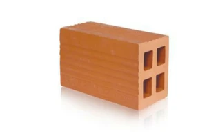 Tấn công bằng gạch vào vùng đầu người can ngăn