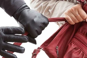 Đồng Nai: Người phụ nữ đi lễ gặp kẻ cướp quá liều lĩnh