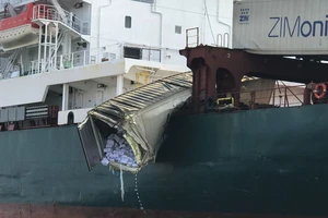 Dân hôi của khi tàu chở hàng bị tông trên sông Đồng Nai